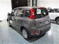 FIAT PANDA CROSS 1.0 70Cv Hybrid 2023 - Ok Neopat. P.CONSEGNA