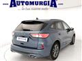 FORD KUGA 1.5 EcoBlue 120 CV aut. 2WD ST-Line X