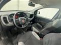 FIAT PANDA 1.0 FireFly S&S Hybrid City Life #VARI COLORI