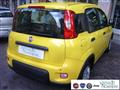 FIAT PANDA 1.0 FireFly S&S Hybrid Pandina Urban Km 0