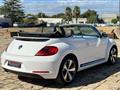 VOLKSWAGEN MAGGIOLINO Cabrio 1.4 TSI DSG Sport 60's (Fender/LED/Auto)