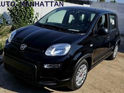 FIAT PANDA 1.0 FireFly S&S Hybrid km0