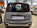 FIAT PANDA 1.0 FireFly S&S Hybrid City Cross