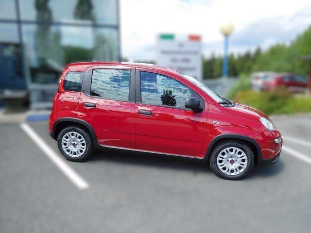 FIAT PANDA FIAT PANDA