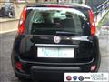 FIAT PANDA 1.0 FireFly S&S Hybrid Pandina Urban Km 0