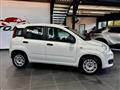 FIAT PANDA 1.2 Easy 5 POSTI ADATTA A NEO PATENTATI