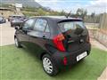 KIA Picanto 5p 1.0 Trendy