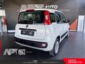 FIAT PANDA 1.2 Lounge 69cv