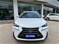 LEXUS NX Hybrid 4WD Executive