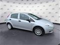 FIAT PUNTO 1.3 MJT II 75 CV 5 porte Active