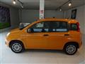 FIAT PANDA 1.2 EasyPower Easy