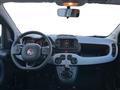 FIAT PANDA III 2021 Cross 1.0 firefly hybrid City Cross s&s 70cv