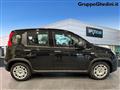 FIAT PANDA 1.0 FireFly S&S Hybrid Pandina