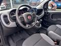 FIAT PANDA 1.0 FireFly Hybrid City Cross (CON ECO-INCENTIVO)