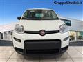 FIAT PANDA 1.0 FireFly S&S Hybrid Pandina