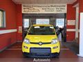 FIAT PANDA 1.0 FireFly S&S Hybrid Pandina