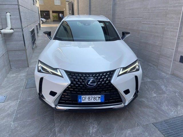 LEXUS UX Hybrid Business