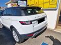 LAND ROVER RANGE ROVER EVOQUE Range Rover Evoque 2.0 eD4 5p. Pure