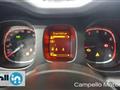 FIAT PANDA CROSS Panda 1.0 70cv Hybrid Panda My23