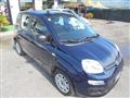 FIAT PANDA 1.3 MJT 95 CV S&S Easy