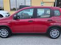 FIAT PANDA 1.0 HYBRID S&S 70 CV SENSORI PARK RADIO TOUCH BT