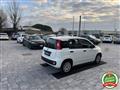 FIAT PANDA 1.2 Easy ANCHE PER NEOPATENTATI