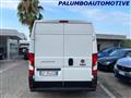 FIAT DUCATO 35 2.3 MJT 140CV PC-TM Furgone