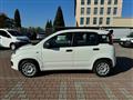 FIAT PANDA 1.2  S.&S. E6D-TEMP EASY 5 POSTI GUIDABILE NEOPA