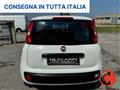 FIAT PANDA VAN FURGONE+IVA 1.2 EASY VAN N1 4 POSTI POCHI KM-E6D-