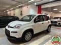 FIAT PANDA 1.0 Hybrid Pandina PREZZO REALE