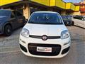 FIAT PANDA 1.2 Easy  X NEOPATENTATI   FY023