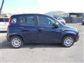 FIAT PANDA 1.3 MJT 95 CV S&S Easy