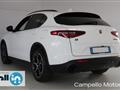 ALFA ROMEO STELVIO 2.2 Turbo Diesel 190cv AT8 Q4 B-Tech