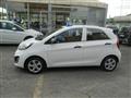 KIA PICANTO 1.0 12V 5 porte City