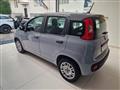 FIAT PANDA 1.2 Easy tua da ?99,00