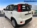 FIAT PANDA 1.0 FireFly S&S Hybrid Pandina