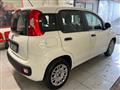 FIAT PANDA VAN 1.3 MJT S&S Easy Van 4 posti +IVA