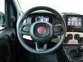 FIAT PANDA 1.0 FireFly S&S Hybrid Pandina