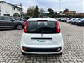 FIAT PANDA 1.0 FireFly S&S Hybrid IDONEA PER NEOPATENTATI