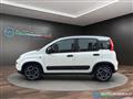 FIAT PANDA 1.0 FireFly S&S Hybrid City Life NEO PATENTATI