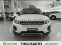 LAND ROVER RANGE ROVER EVOQUE 2.2 Sd4 5p. Pure