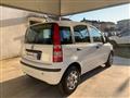 FIAT PANDA 1.2 MyLife OK NEOPATENTATI EURO 5