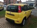 FIAT PANDA 1.0 FireFly S&S Hybrid Pandina