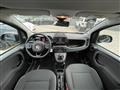 FIAT PANDA 1.0 FireFly S&S Hybrid Cross #VARI.COLORI