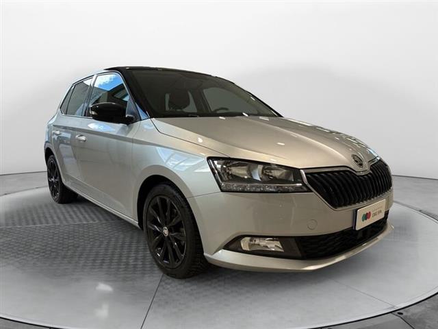 SKODA FABIA 1.0 MPI 60 CV Twin Color Argento