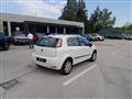 FIAT PUNTO 1.4 8V 5 porte Natural Power Lounge