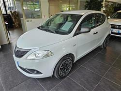 LANCIA YPSILON 5 Porte 1.2 69cv Elefantino S S