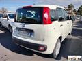 FIAT Panda 1.3 mjt 16v Easy s&s 95cv