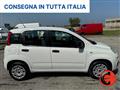 FIAT PANDA VAN FURGONE+IVA 1.2 EASY VAN N1 4 POSTI POCHI KM-E6D-