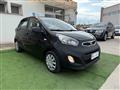 KIA Picanto 5p 1.0 Trendy